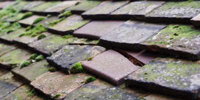 Roath roof repair costs